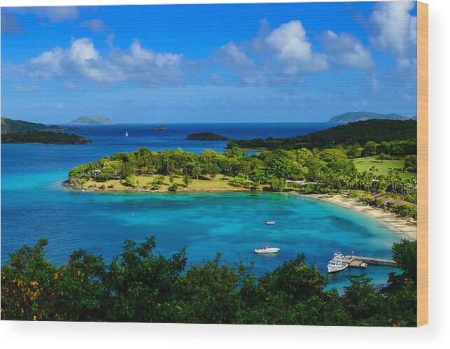 Caribbean Wood Print featuring the photograph Tropical Paradise in the Virgin Islands by Greg Norrell
