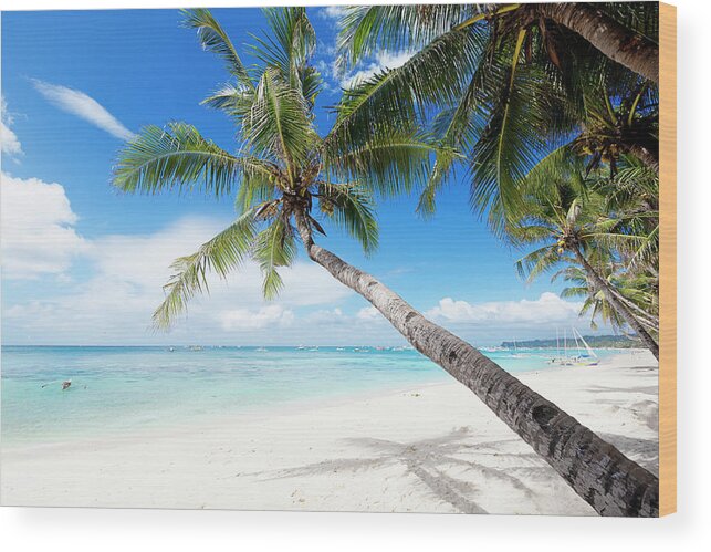 Water's Edge Wood Print featuring the photograph Tropical White Sand Beach by 35007