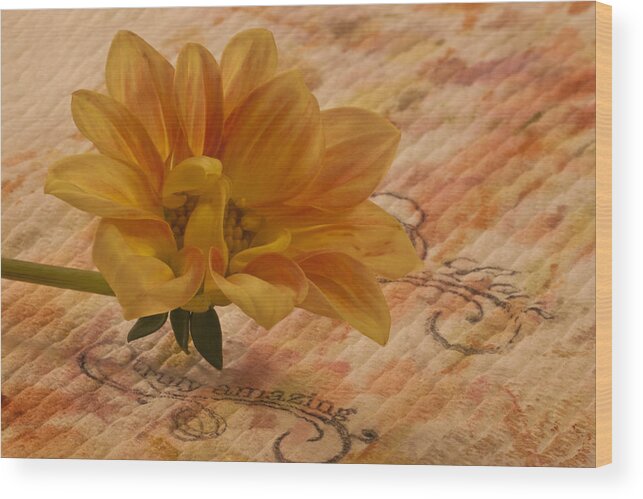 Orange Dahlia Wood Print featuring the photograph Truly Amazing by Sandra Foster