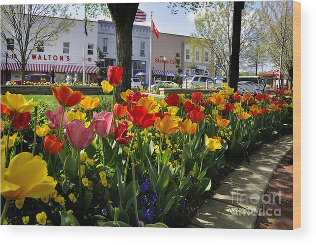 Bentonville Wood Print featuring the photograph Tulips in the Spring #1 by Nava Thompson