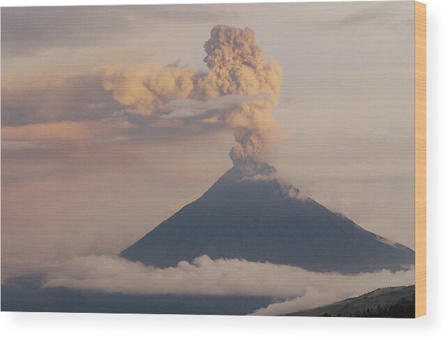 00216790 Wood Print featuring the photograph Tungurahua Volcano Erupting by Pete Oxford