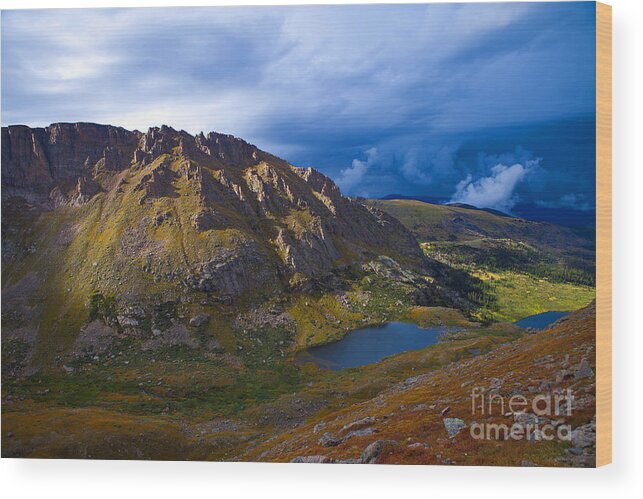 Mountains Wood Print featuring the photograph Turning To Gold by Barbara Schultheis