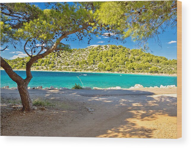 Murter Wood Print featuring the photograph Turquoise pine tree beach of Croatia by Brch Photography