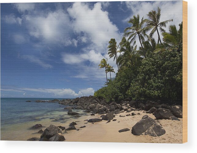 Turtle Cove Oahu Hawaii Tropics Seascape Palmtrees Ocean Sea Clouds Wood Print featuring the photograph Turtle Cove by James Roemmling