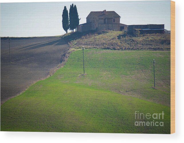 Tuscany Wood Print featuring the photograph Tuscany 3 by Milena Boeva