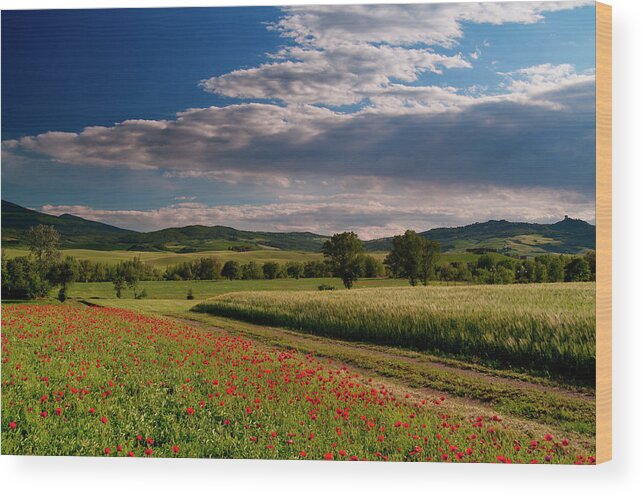 Tranquility Wood Print featuring the photograph Tuscany Landscape by Landscape Beauty Italy