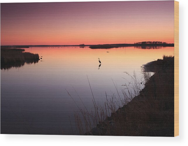 Sunset Wood Print featuring the photograph Twilight at Blackwater WLR by Jennifer Casey