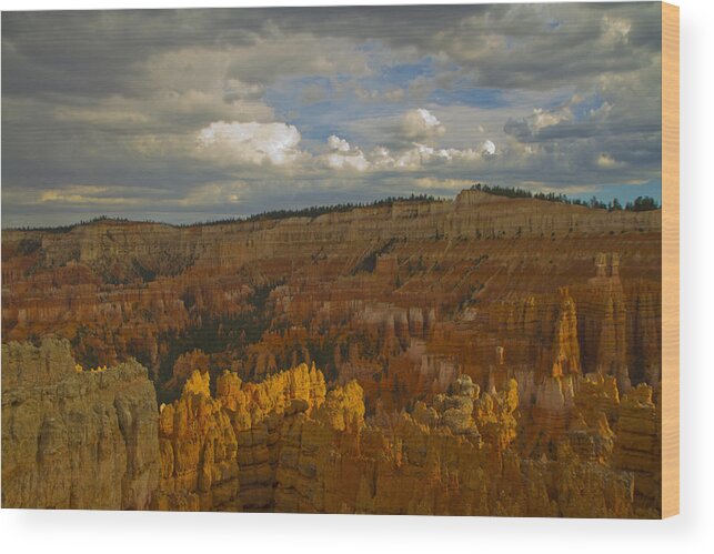 Bryce National Park Wood Print featuring the photograph Twilight at Bryce 75 by Tom Kelly