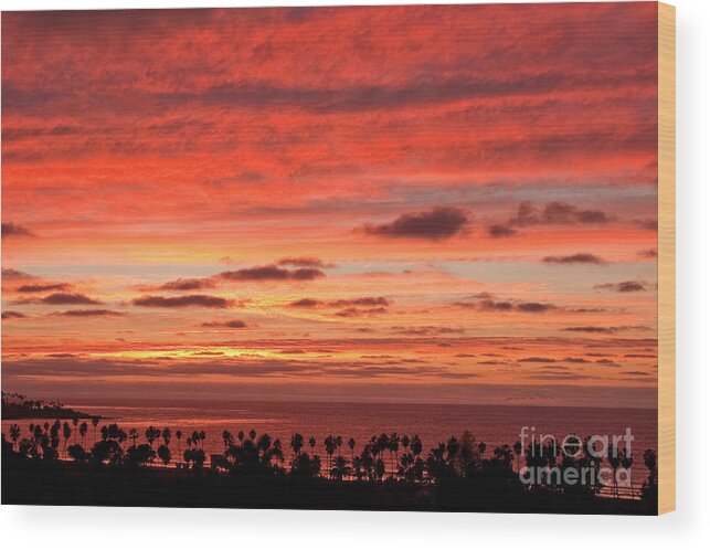 Nature Wood Print featuring the photograph Twilight Symphony by Julia Hiebaum