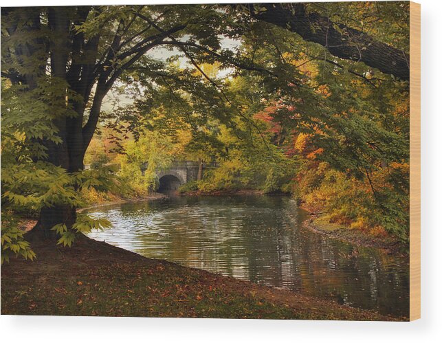 Lake Wood Print featuring the photograph Twin Lakes by Jessica Jenney