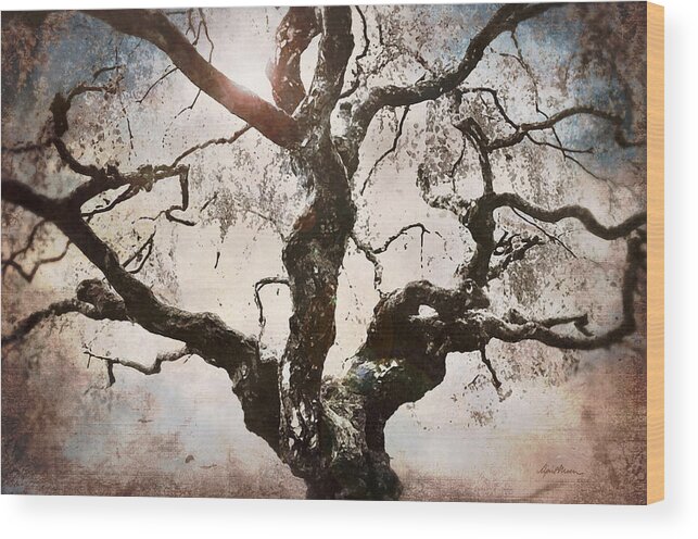 Old Gnarled Tree Wood Print featuring the digital art Twisted Tree I by April Moen