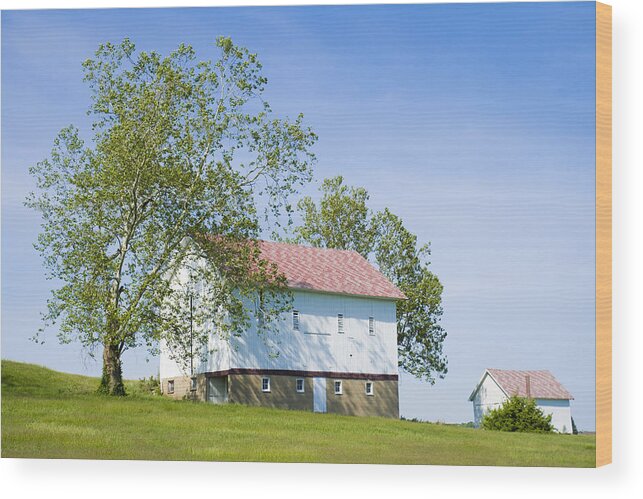 Barns Wood Print featuring the photograph Two Barns by Alexey Stiop