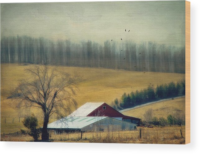 Barn Wood Print featuring the photograph Two Barns by Kathy Jennings