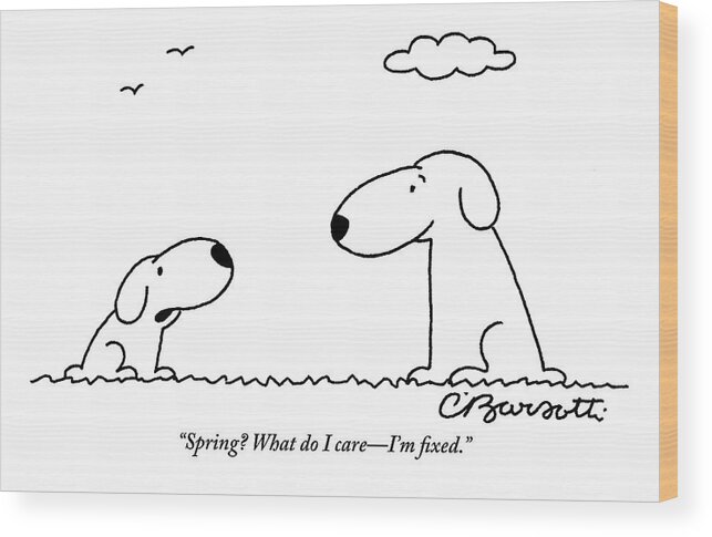 Neutered Wood Print featuring the drawing Two Dogs Are Seen Talking To Each Other by Charles Barsotti