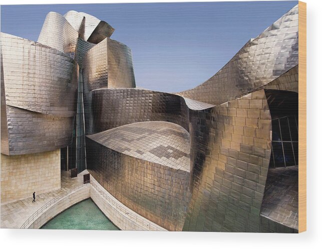 Architecture Wood Print featuring the photograph Undulation by Linda Wride