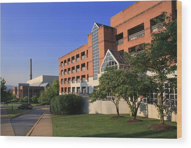 University Of Tennessee Wood Print featuring the photograph University of Tennessee Campus by Melinda Fawver