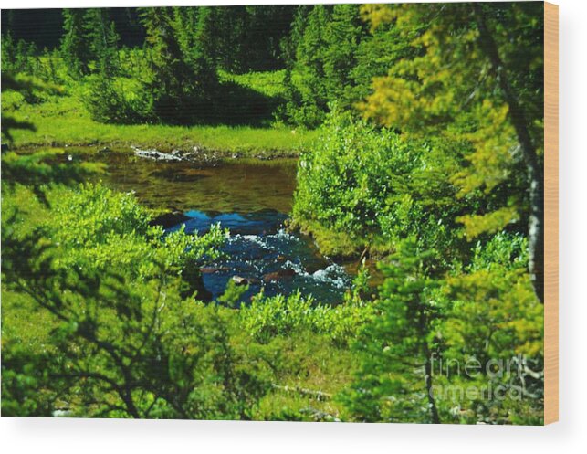 Creeks Wood Print featuring the photograph Upper Dewey Creek by Jeff Swan