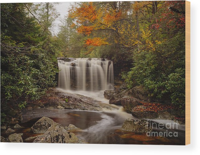 West Virgina Waterfalls Wood Print featuring the photograph Upper Falls waterfall on Big Run River by Dan Friend