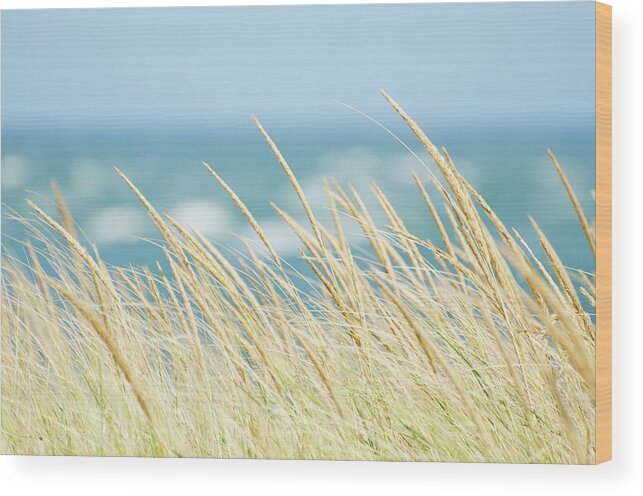 Tranquility Wood Print featuring the photograph Usa, Massachusetts, Nantucket Island by Chuck Plante