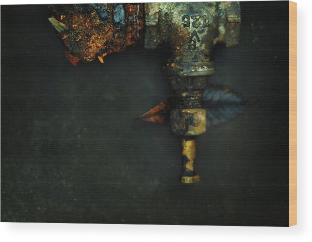 Plumbing Wood Print featuring the photograph V125 and the Meaning of Life by Rebecca Sherman
