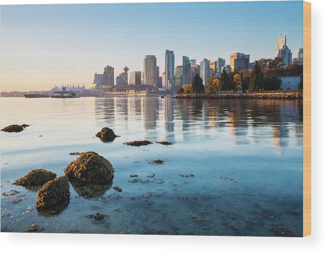 Clear Sky Wood Print featuring the photograph Vancouver Skyline At Stanley Park by Wan Ru Chen