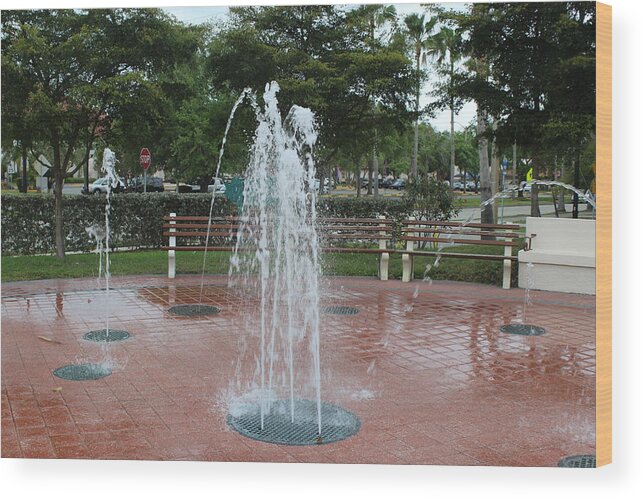 Venice Wood Print featuring the photograph Venice Florida Fountain by John Mathews