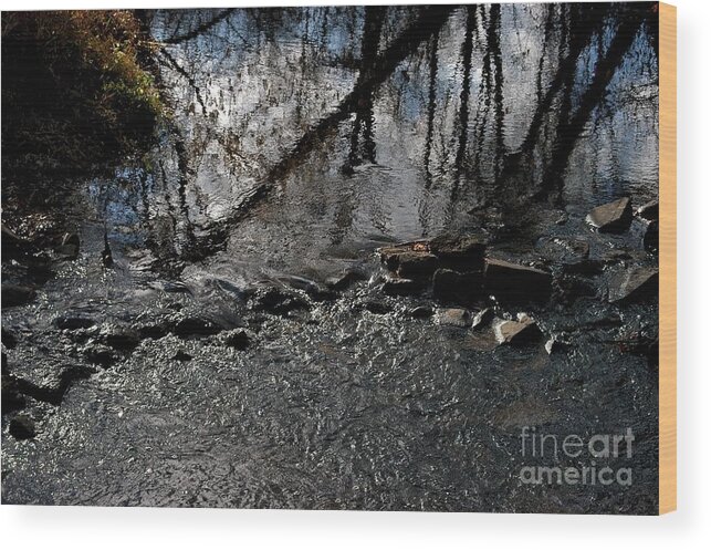 Reflections Wood Print featuring the photograph Vermillion Refractions by Joseph Yarbrough