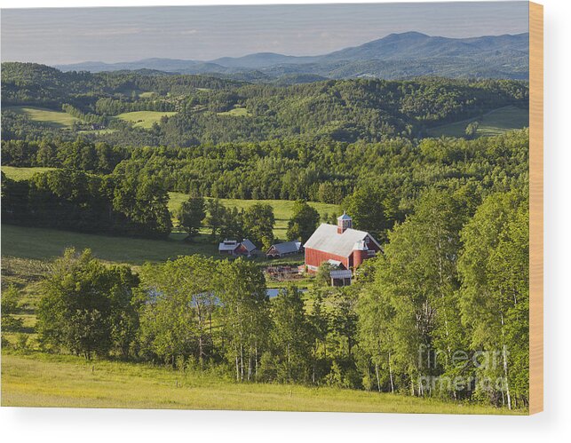 Summer Wood Print featuring the photograph Vermont Summer Landscape by Alan L Graham