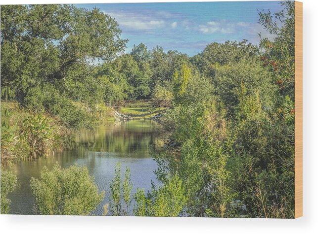 Creek Wood Print featuring the photograph View down the creek by Jane Luxton