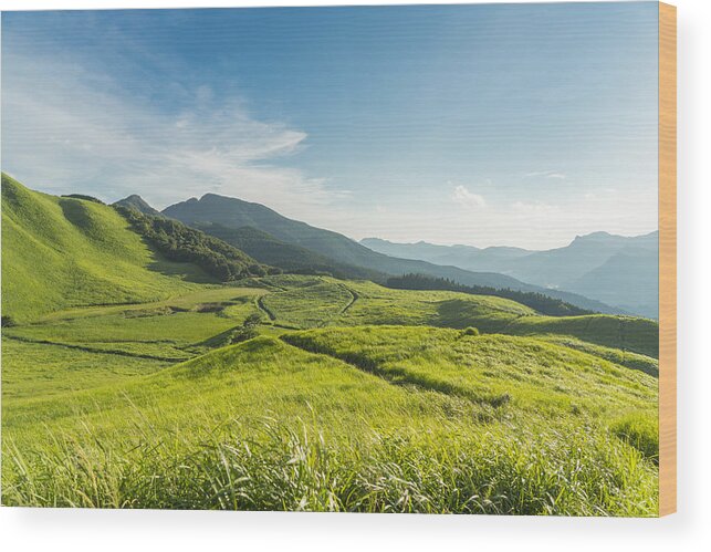 Scenics Wood Print featuring the photograph View of the Plateau,Soni Kougen in Japan by Yagi-Studio