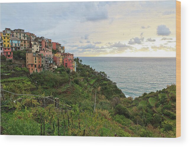 Scenics Wood Print featuring the photograph View Over Corniglia And The Sea by Maria Swärd