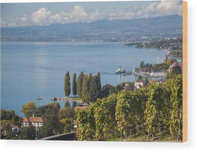 Lutry Wood Print featuring the photograph Vines over Lake Geneva by Rob Hemphill