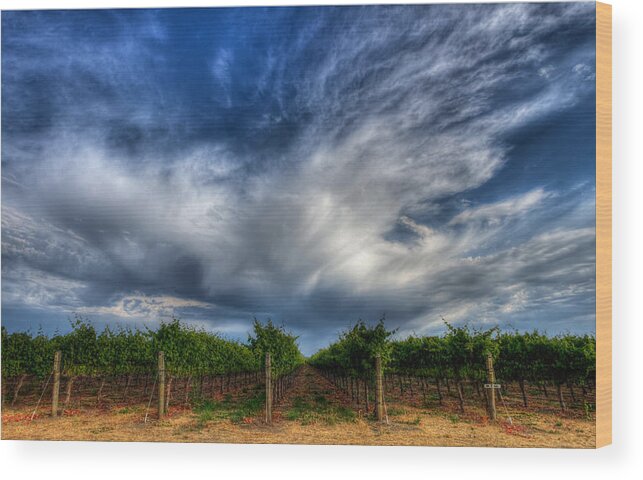 Vineyard Wood Print featuring the photograph Vineyard Storm by Beth Sargent