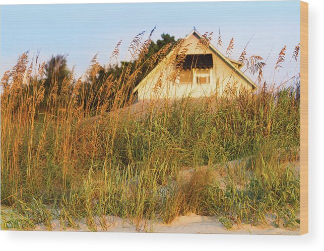 American Beachgrass Wood Print featuring the photograph Vintage Beach Cottage, Pawleys Island by Hiramtom
