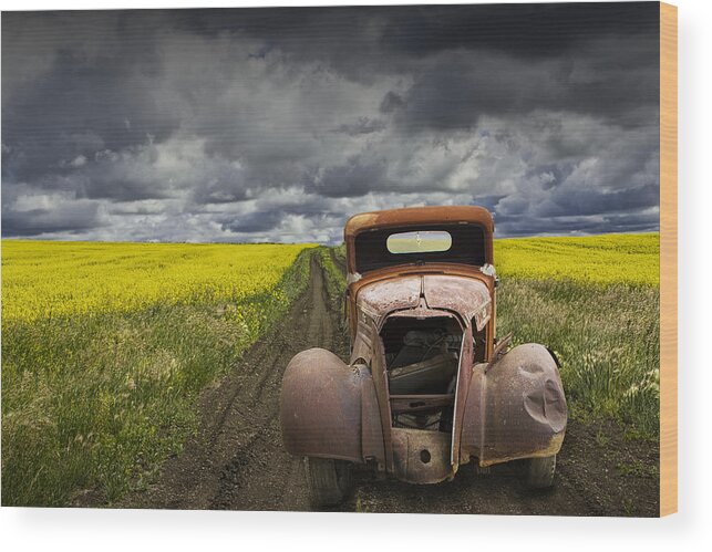 Vintage Wood Print featuring the photograph Vintage Chevy Pickup on a dirt path through a canola field by Randall Nyhof