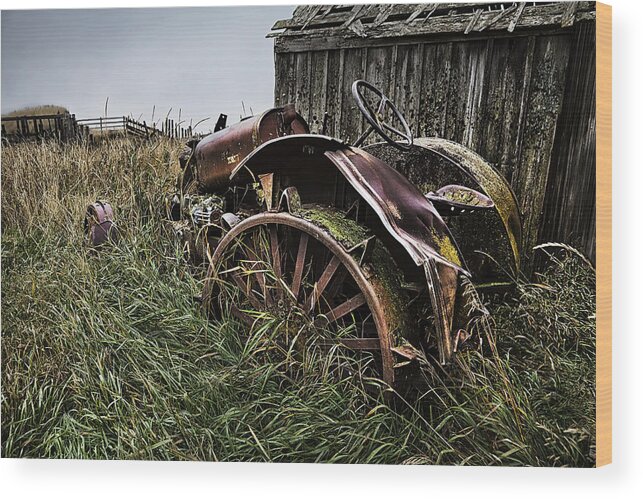 Massey Ferguson Wood Print featuring the photograph Vintage Farm Tractor Color by Theresa Tahara