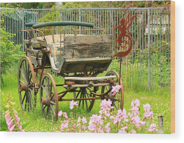 Aged Wood Print featuring the photograph Vintage horse carriage in a flower bed by Amanda Mohler