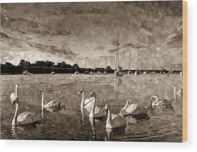 Swans Wood Print featuring the photograph Vintage Swan Painting by David Pyatt