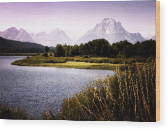 Tetons Wood Print featuring the photograph Violet Tetons by Ron White