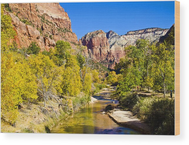 Zion National Park Utah Wood Print featuring the photograph Virgin River - Zion by Jon Berghoff