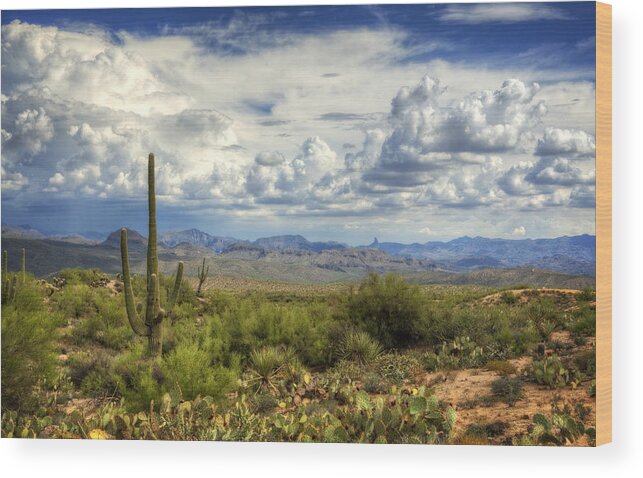 Arizona Wood Print featuring the photograph Visions of Arizona by Saija Lehtonen