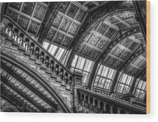 Hdr Wood Print featuring the photograph Visitor to the Museum by Ross Henton