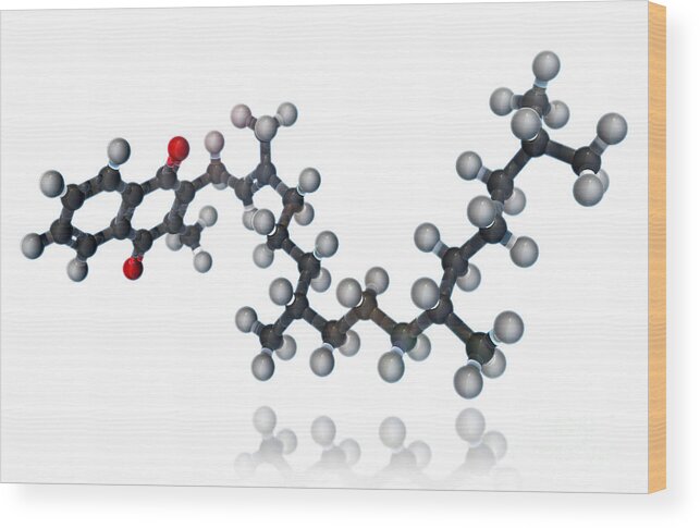 3d Model Wood Print featuring the photograph Vitamin K1, Molecular Model by Evan Oto