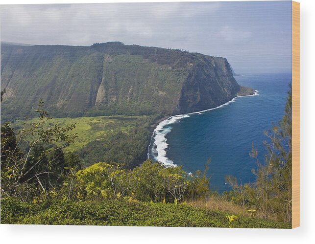 Water Wood Print featuring the photograph Waipio Valley by Christie Kowalski