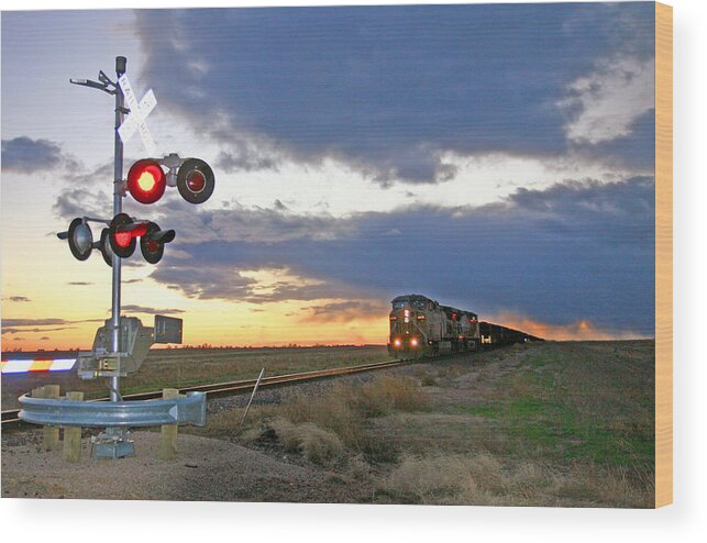 Landscape Wood Print featuring the photograph Wait your Turn by Shirley Heier