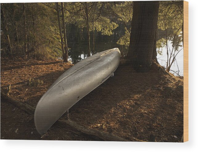 Algonquin Park Wood Print featuring the photograph Waiting for Spring by Alan Norsworthy