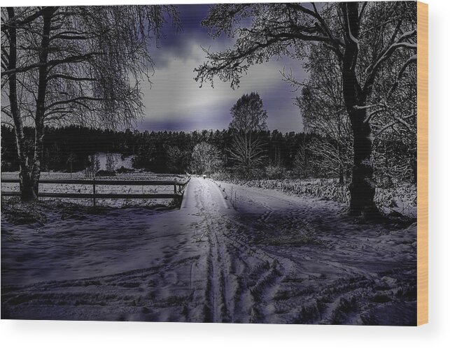 Pinhole Wood Print featuring the photograph #Walk-way in a pinhole presentation over Dyarna a #winter #day near city Enkoping Sweden January 201 by Leif Sohlman