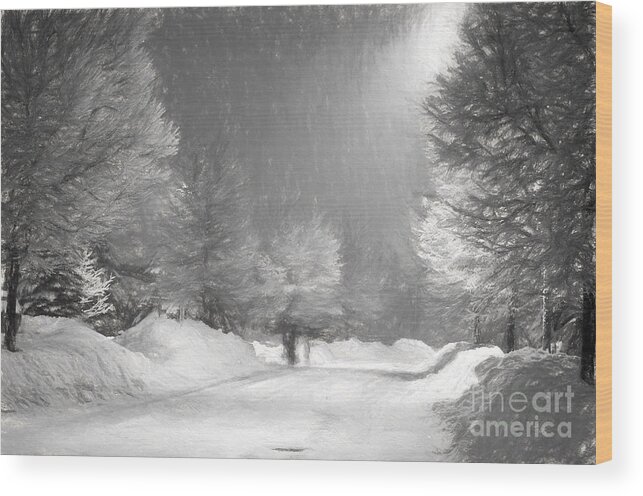 Winter Wood Print featuring the photograph Winter Walk by Les Palenik
