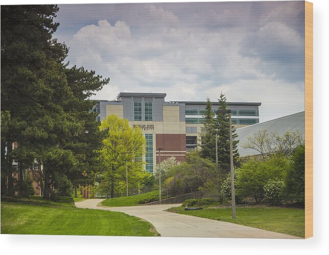 Michigan State Wood Print featuring the photograph Walkway to Spartan Stadium by John McGraw