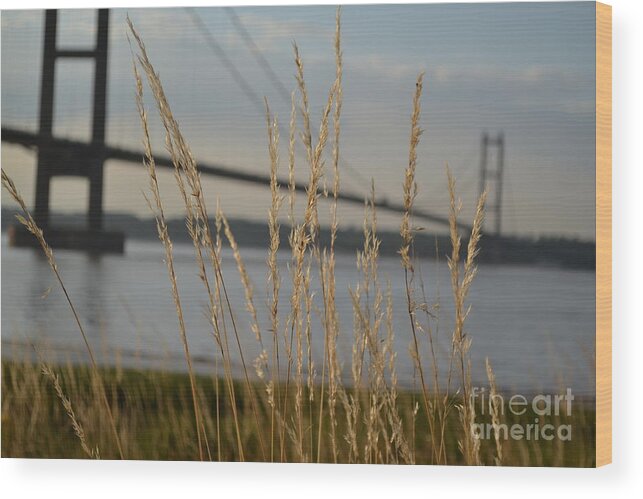 Humber Wood Print featuring the photograph Wasting Time By The Humber by Scott Lyons